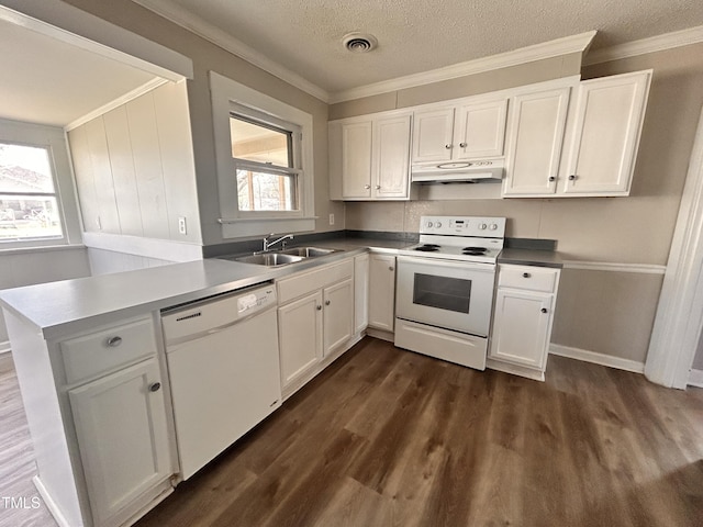 kitchen featuring white appliances, under cabinet range hood, white cabinetry, and a sink