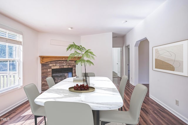 dining space featuring wood finished floors, a glass covered fireplace, and a healthy amount of sunlight