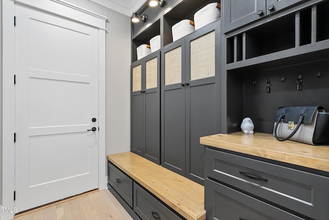 mudroom with light wood-type flooring