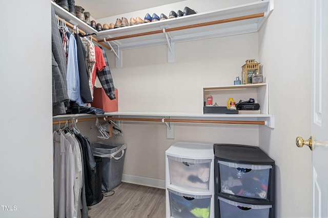 walk in closet featuring wood finished floors