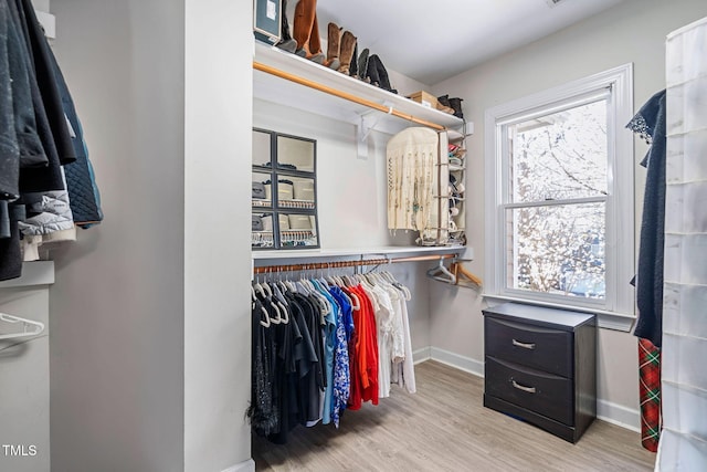 spacious closet featuring wood finished floors