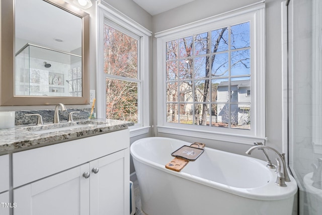 bathroom with plenty of natural light, a freestanding bath, and vanity