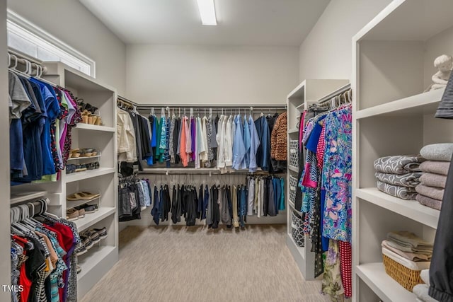 spacious closet with carpet flooring