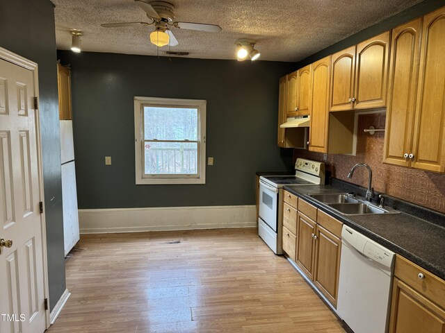 kitchen with a ceiling fan, white appliances, under cabinet range hood, a sink, and light wood-style flooring