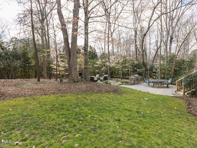 view of yard featuring a patio area