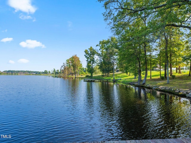 93 Shoreline Dr, Princeton, NC 27569 - view of water feature