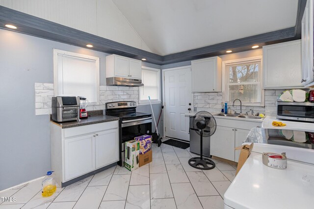 kitchen featuring lofted ceiling, a sink, stainless steel appliances, under cabinet range hood, and marble finish floor