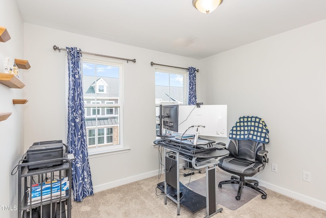 office space featuring baseboards and carpet flooring