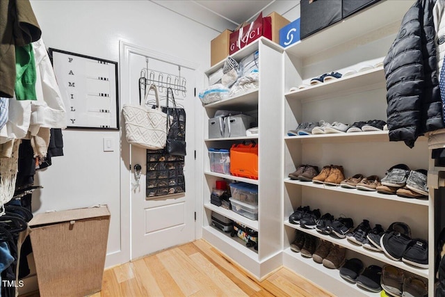 spacious closet featuring wood finished floors