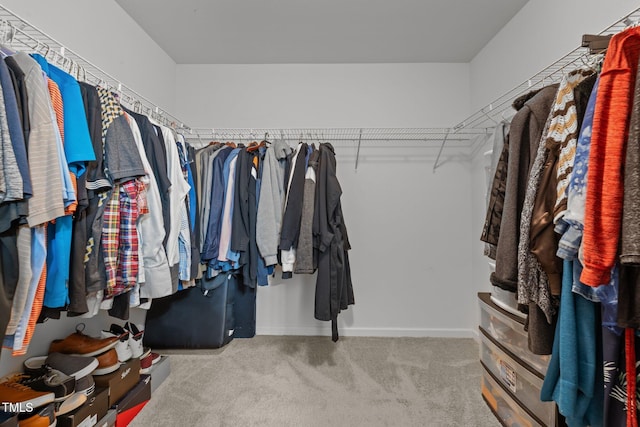 walk in closet with carpet flooring