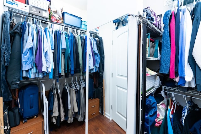 walk in closet featuring wood finished floors