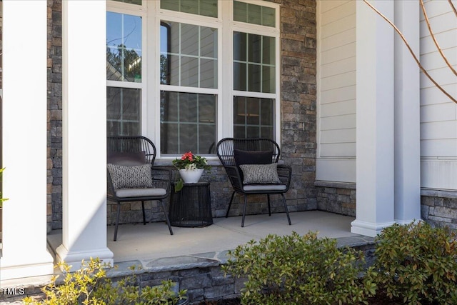 view of patio / terrace with covered porch