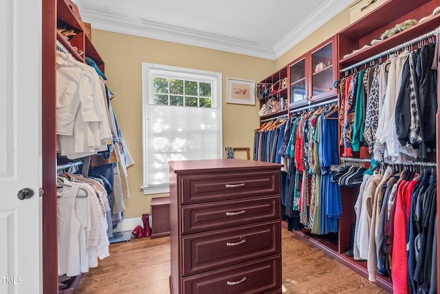 spacious closet featuring light wood-type flooring