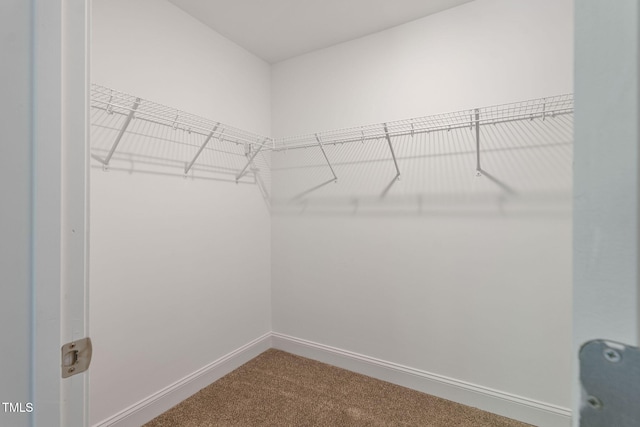 968 Kensington Park Rd, Fayetteville, NC 28311 - photo 21