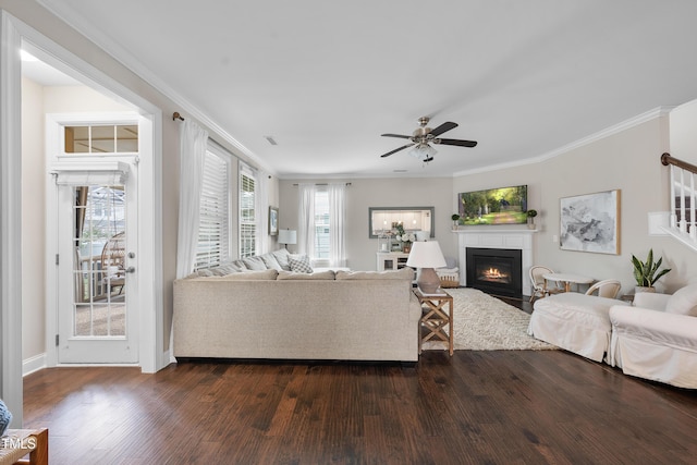 living room with visible vents, crown molding, ceiling fan, dark wood-type flooring, and a glass covered fireplace