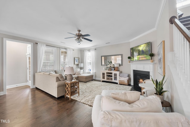 living room featuring ornamental molding, a glass covered fireplace, dark wood-style floors, ceiling fan, and stairs