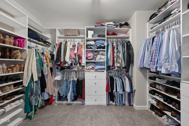 walk in closet featuring carpet floors