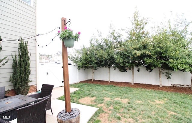 view of yard with a fenced backyard and a patio area