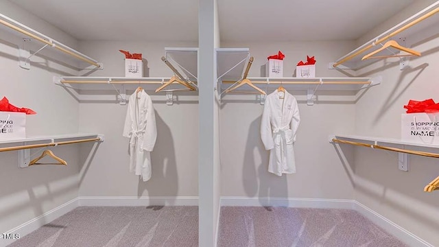 spacious closet featuring carpet floors