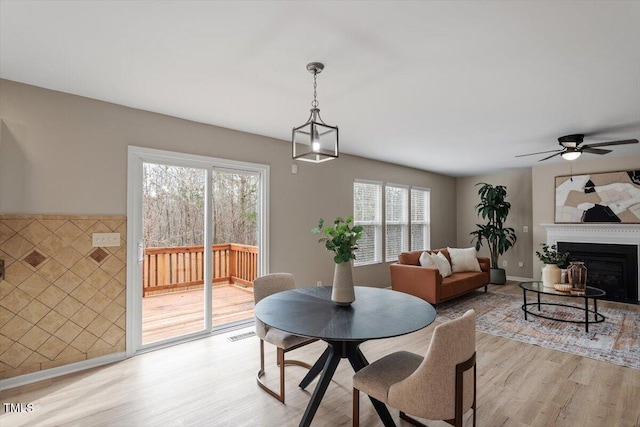 dining area featuring a ceiling fan, a fireplace, visible vents, and light wood finished floors