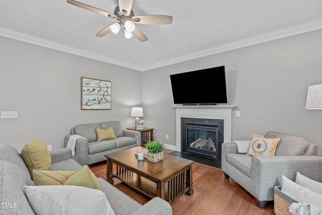 living area with light wood-type flooring, a fireplace with flush hearth, ornamental molding, and a ceiling fan