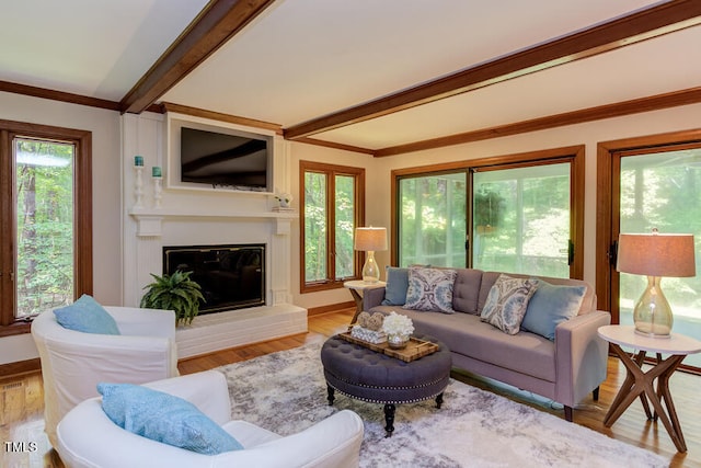 living area with baseboards, ornamental molding, beam ceiling, wood finished floors, and a glass covered fireplace