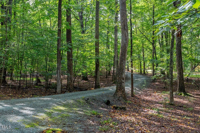 view of nature featuring a wooded view