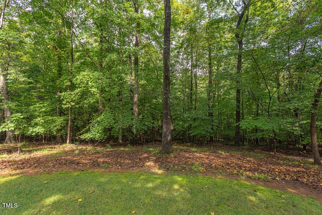 view of yard featuring a view of trees