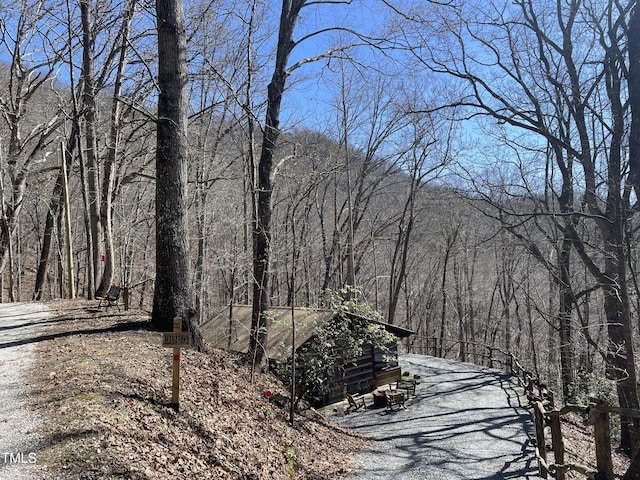 Listing photo 3 for 0 Bear Cove Cir, Bryson City NC 28713