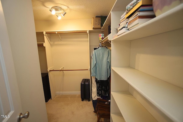 walk in closet featuring light colored carpet