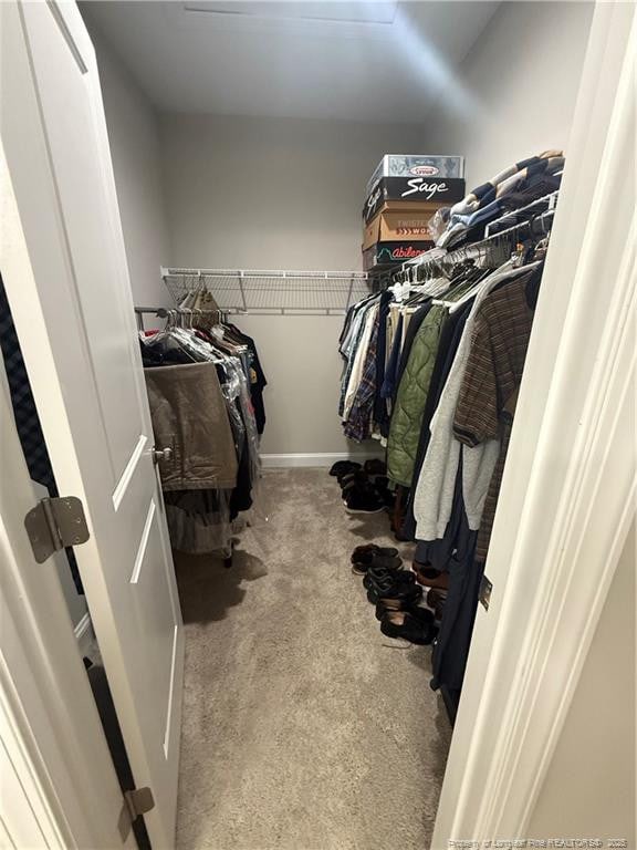 walk in closet with carpet floors