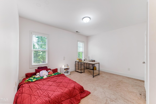 901 Hollymont Dr, Holly Springs, NC 27540 - photo 43
