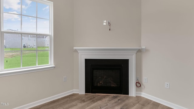 details featuring baseboards, wood finished floors, and a fireplace