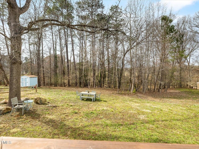 view of yard featuring an outbuilding and a storage unit