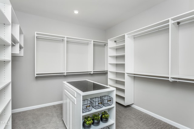 spacious closet featuring carpet flooring