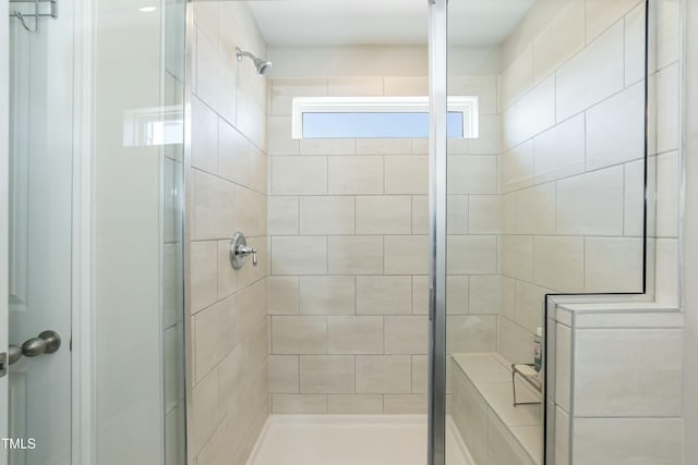 full bathroom featuring a shower stall