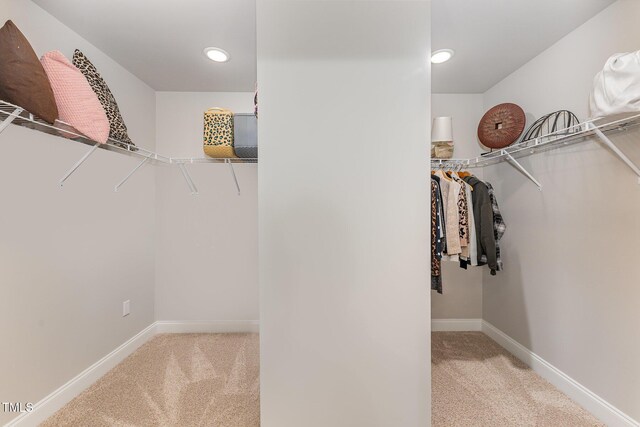 walk in closet with carpet floors