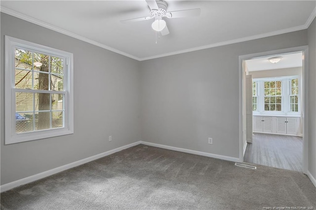 unfurnished room with plenty of natural light, baseboards, carpet, and ornamental molding