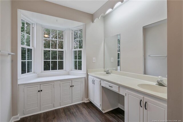 full bathroom with a sink, wood finished floors, and double vanity