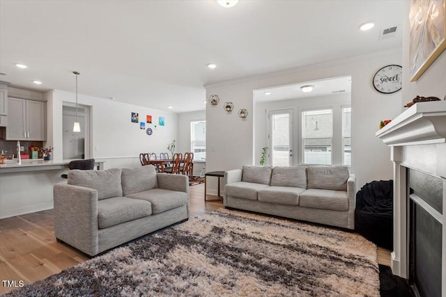 living area with wood finished floors, a fireplace, and ornamental molding