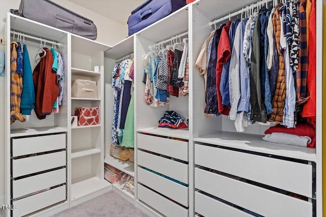 spacious closet with carpet floors