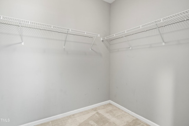 spacious closet with light carpet