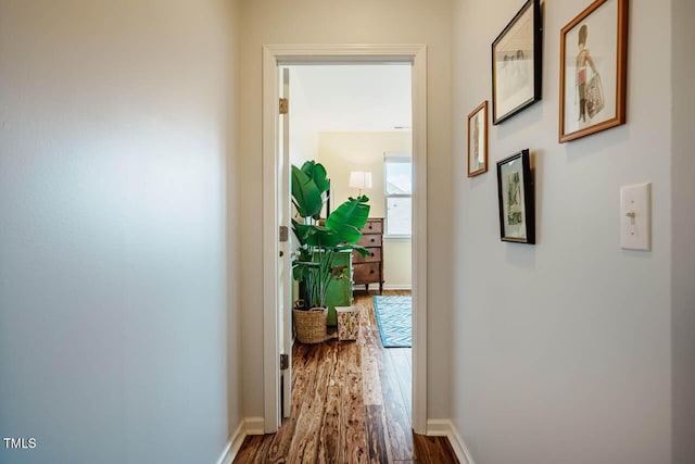 hall with baseboards and dark wood-type flooring