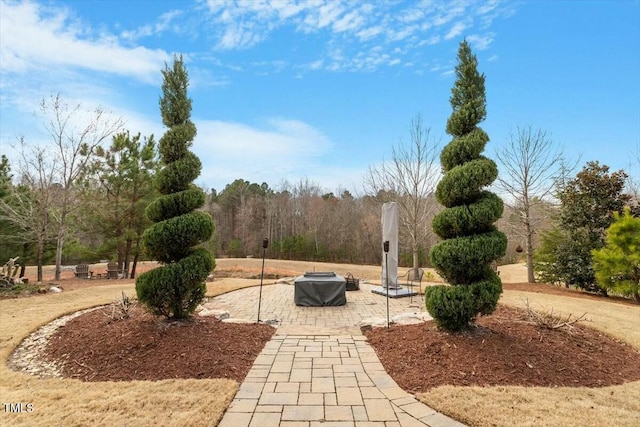 view of yard with a patio