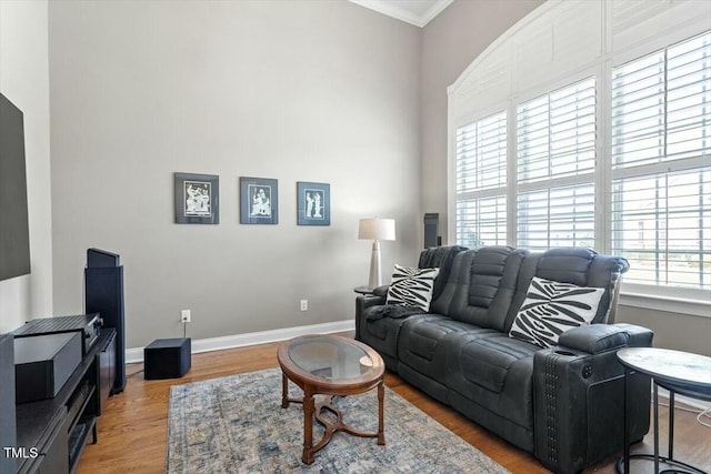 living room featuring baseboards, wood finished floors, and ornamental molding