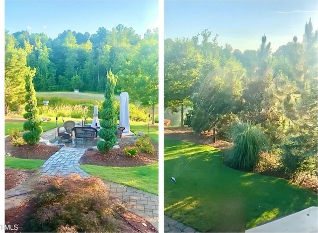 view of home's community featuring a patio area and a yard