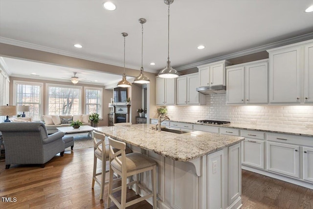 kitchen featuring ornamental molding, dark wood-style flooring, under cabinet range hood, and a sink