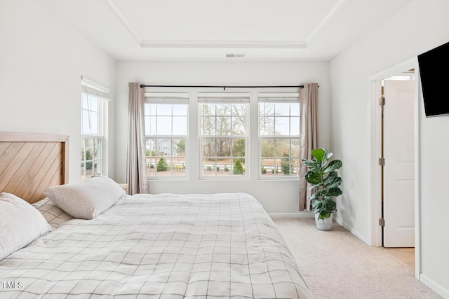 bedroom featuring a raised ceiling, baseboards, and carpet floors