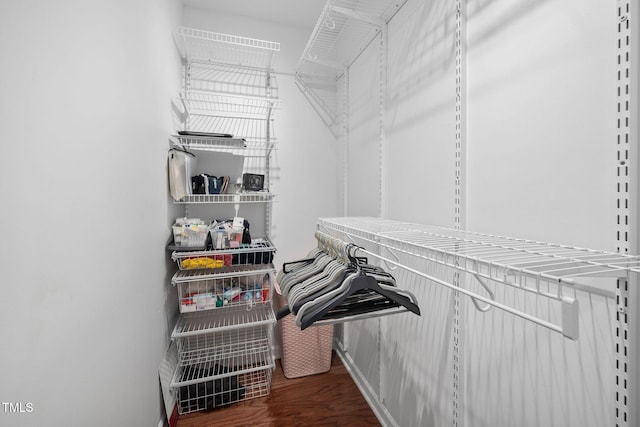 spacious closet featuring wood finished floors