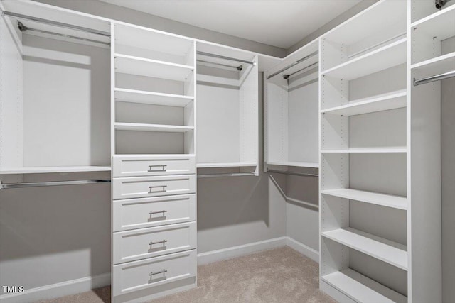 spacious closet with light colored carpet